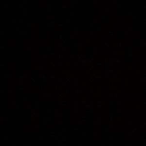 Meet your Posher, Eli